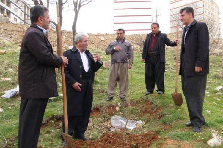 کاشت 7 هزار نهال به مناسبت روز درختکاری در شهرستان پاوه