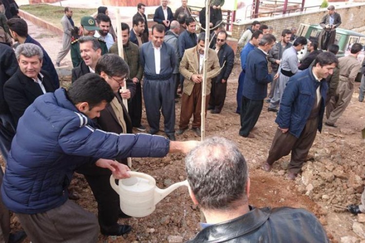 گزارش تصويري از کاشت 7 هزار نهال در شهرستان پاوه