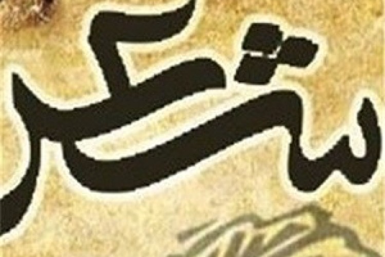 برگزاری دوره آموزشی دکلمه شعر کردی 