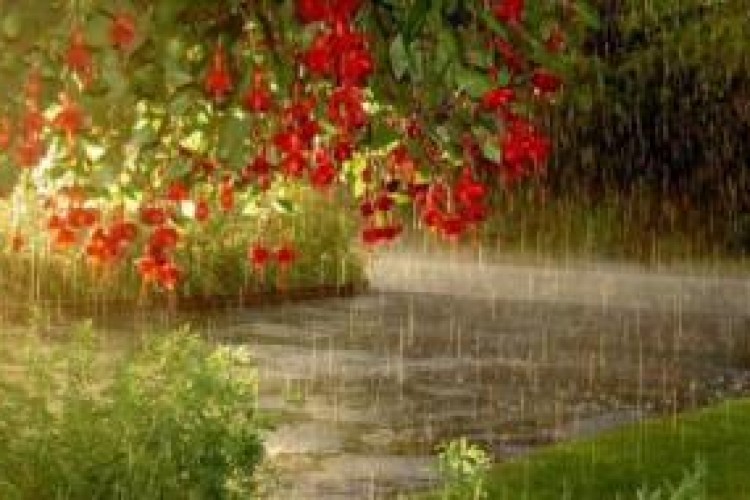 ورود سامانه ناپایدار به جو کرمانشاه از اواسط هفته جاری /وقوع رگبار بهاری