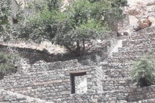 پايان عملیات اجرایی ساماندهی ورودی روستاي شركان پاوه/آغاز کار ساماندهی محوطه اطراف درخت کهنسال چنار اين روستا