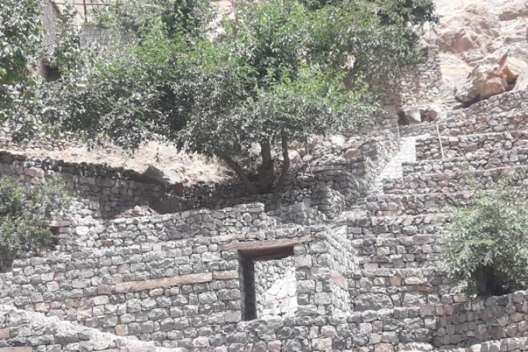 پايان عملیات اجرایی ساماندهی ورودی روستاي شركان پاوه/آغاز کار ساماندهی محوطه اطراف درخت کهنسال چنار اين روستا