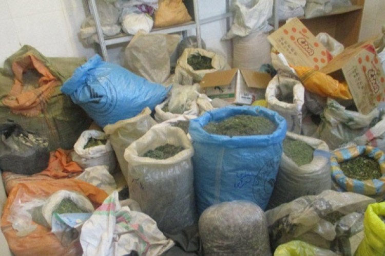 کشف اقلام دارویی ولوازم آرایش وبهداشتی غیر مجاز در پاوه 