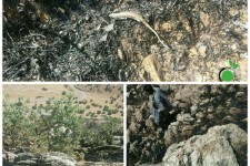 وقوع آتش سوزی در مراتع شهرستان پاوه