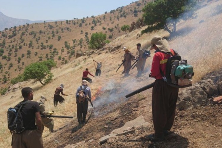 وقوع 7 فقره آتش‌سوزی در منابع طبیعی پاوه‌/ 10 هکتار سوخت