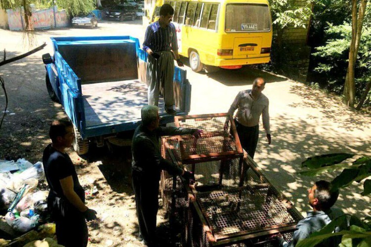 جابجایی "زباله دان" با "گلدان"