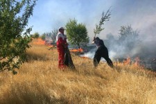 بیش از ۱۰۰ هکتار از مراتع شهرستان روانسر در آتش سوخت