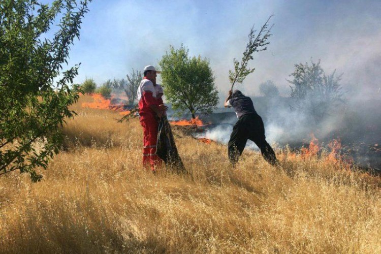بیش از ۱۰۰ هکتار از مراتع شهرستان روانسر در آتش سوخت