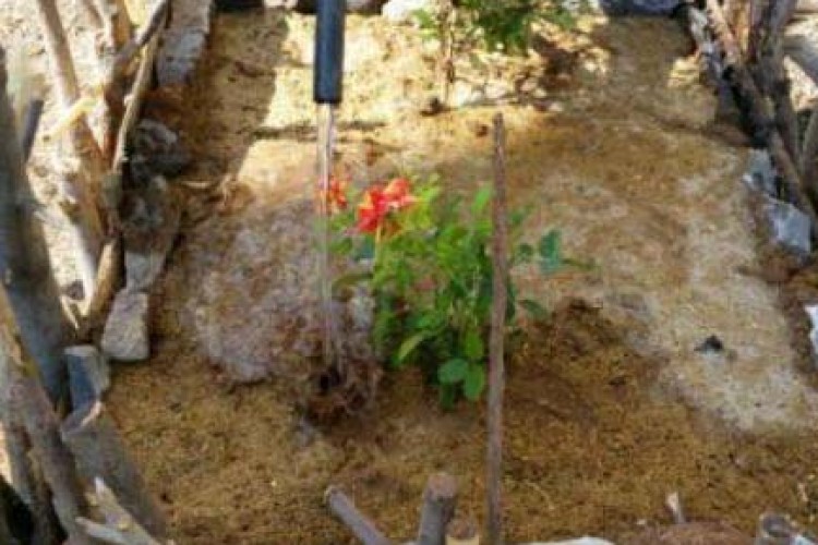 به همت دلسوزان روستای نُسمه، گلدان به جای زباله دان اجرایی شد