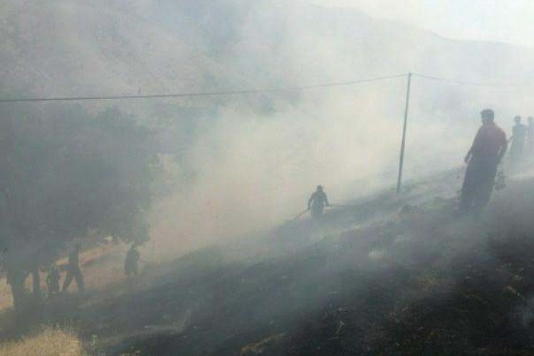 مراتع روستای نوریاب پاوه طعمه حریق شد