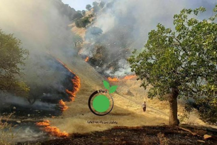 در محاصره مین و آتش/ وقوع آتش سوزی در مراتع روستای شوشمی شهرستان پاوه