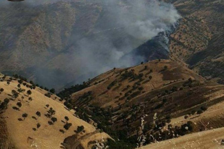 بیش از 15 هکتار از مراتع روستای شوشمی در آتش سوخت