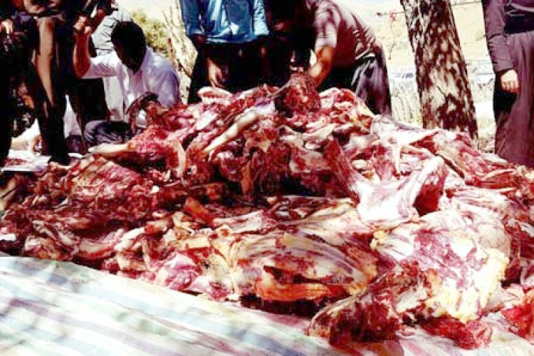 کمک به فقرا و نیازمندان را از یاد نبریم