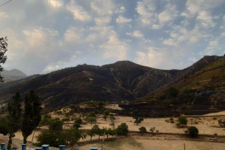 بیش از 50 هکتار از مراتع پاوه در آتش سوخت