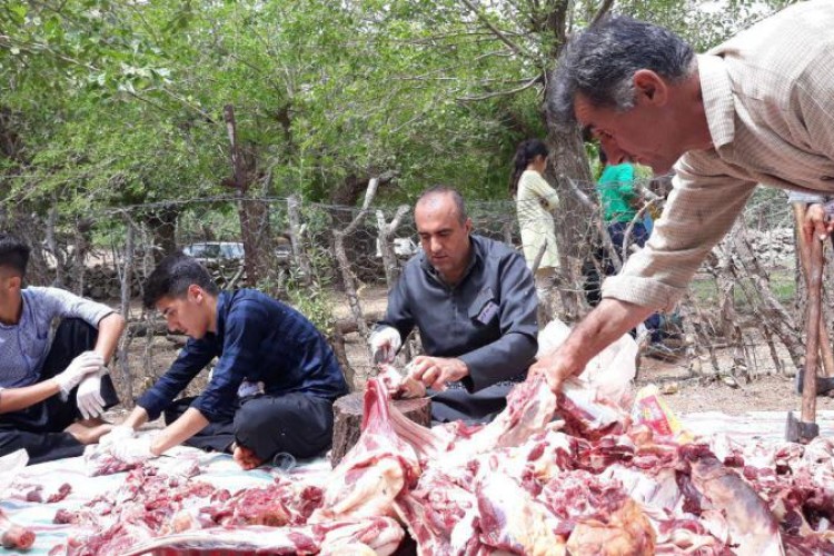 گزارش تصویری از مراسم باشکوه قربانی در شهر بانه وره 