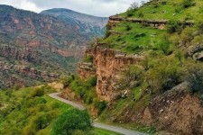«بوزین و مرخیل» سرزمین گوزن مینیاتوری؛ در معرض تهدید /لزوم کاهش فرایند آسیب به این منطقه