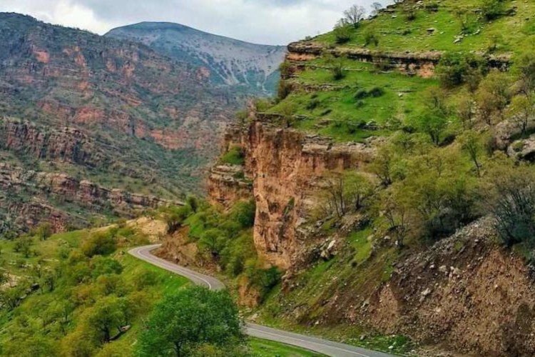 «بوزین و مرخیل» سرزمین گوزن مینیاتوری؛ در معرض تهدید /لزوم کاهش فرایند آسیب به این منطقه
