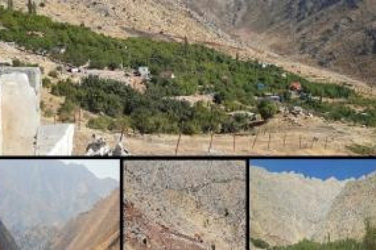 «بیدمیری» در قبضه متجاوزان طبیعت /زمین‌خواری بدون مزاحم