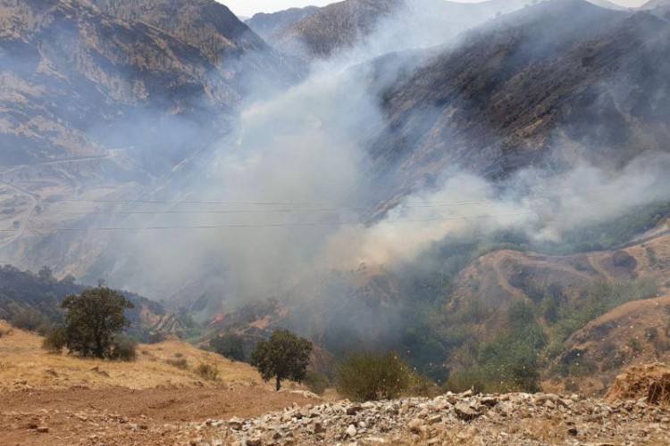 وقوع آتش سوزی در مراتع روستاهای تشار و نیسانه پاوه