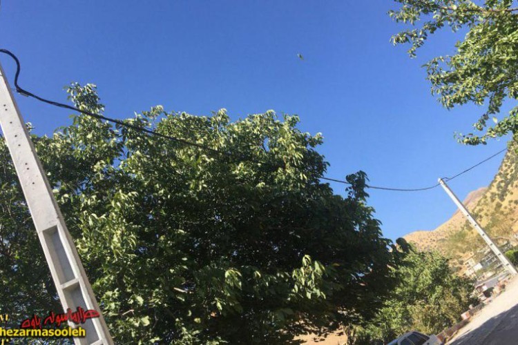 موج تاریکی بیخ گوش پاوه