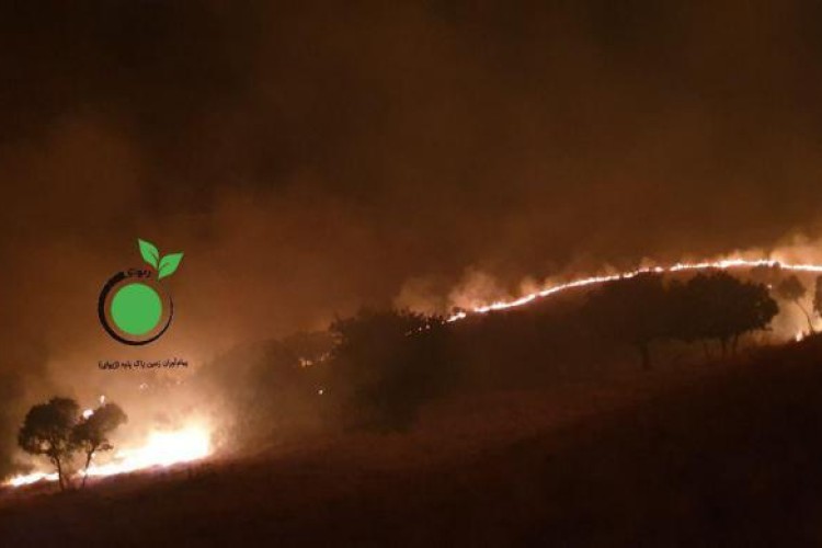 وقوع آتش سوزی در منطقه سردره پاوه