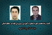 کسب رتبه نخست حوزه مشاوره آموزش و پرورش پاوه در سطح استان