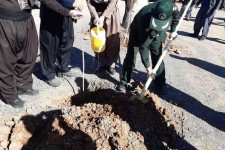 غرس نهال در اولین روز از  هفته درختکاری در پاوه/غرس ۸ هزار اصله نهال در شهرستان