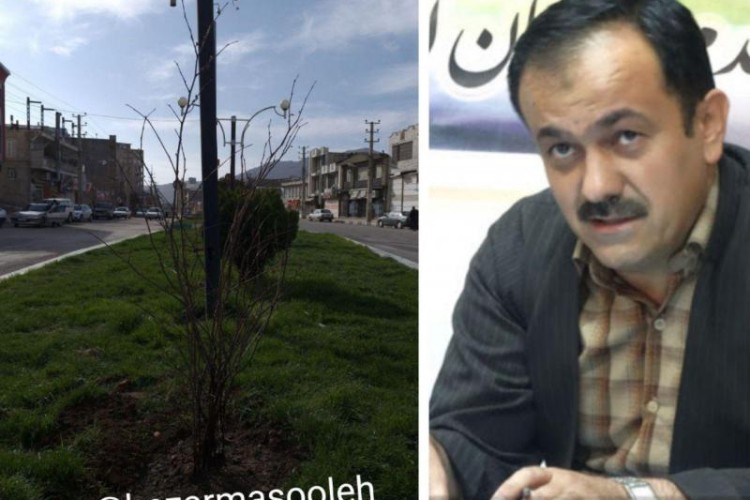 شهردار پاوه: همکاری شهروندان در خصوص نگهداری نهال‌های کاشته شده ضروری است