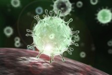 آمار رسمی بیماری کووید-۱۹ در شهرستان پاوه