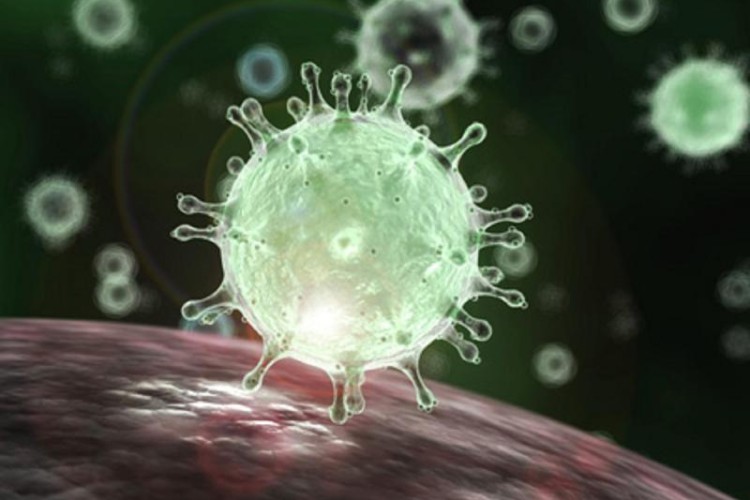 آمار رسمی بیماری کووید-۱۹ در شهرستان پاوه