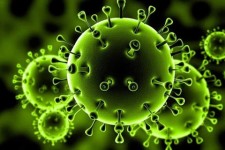 3 مورد ابتلای جدید به ویروس کرونا در پاوه شناسایی شد