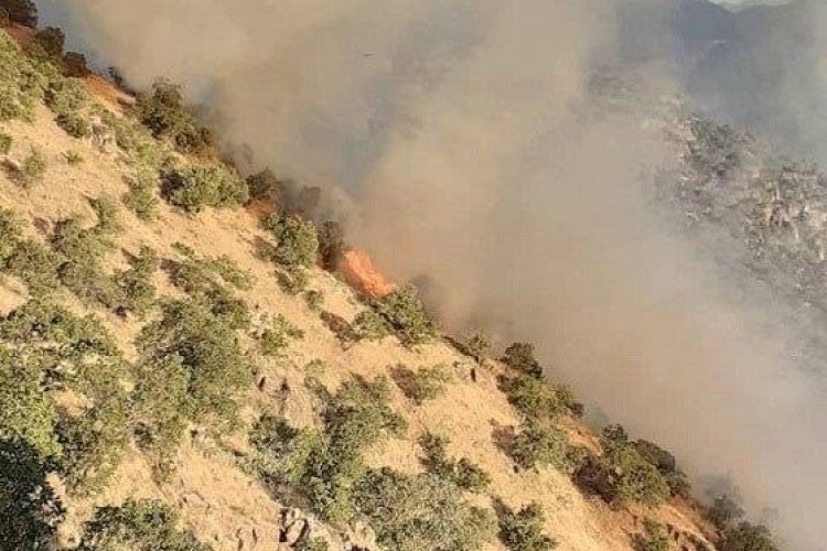  ۳۰۰ هکتار از مراتع و جنگل‌های باینگان در آتش سوخت