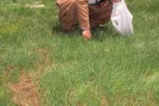 شاهو و تعرض به گونه های گیاهی خودرو آن