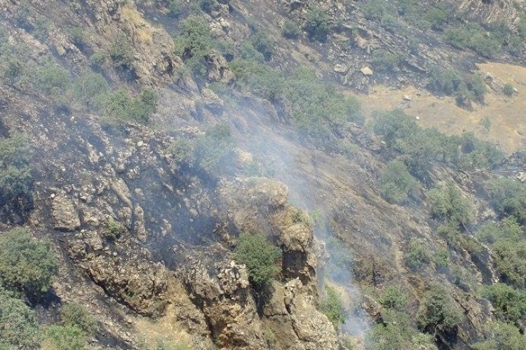 فرماندار پاوه : آتش سوزی در مراتع مشجر لانوان بطور کامل مهار گردید / بیش از 500 هکتار از مراتع دچار حریق شدند