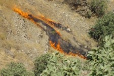  آتش سوزی مراتع پاوه جان ۳ «فعال محیط زیست» را گرفت