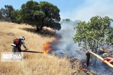 سازمان محیط زیست با ایجاد پایگاه اطفاء حریق غرب کشور در کرمانشاه موافقت کرد