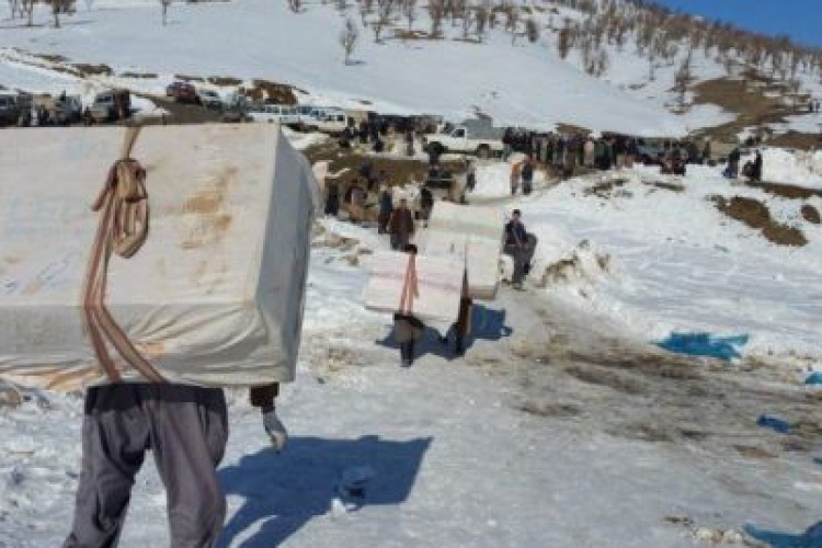 بنیاد برکت به دنبال ایجاد اشتغال برای کولبران/ سهم استان کرمانشاه ۹۰۰ طرح