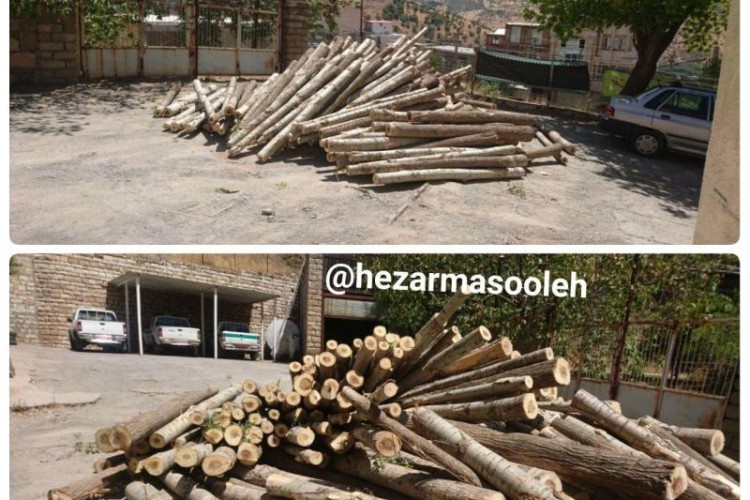 ‍ توقیف یک دستگاه کامیون حامل چوب و الوار در محدوده باغات شهرستان پاوه