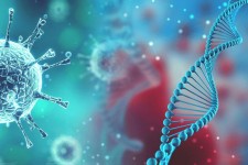 وضعیت کرونا در پاوه قرمز شد