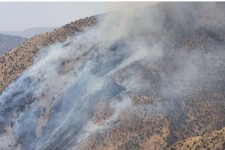 آتش‌سوزی جنگل‌های آلوده به مین و صعب‌العبور نوسود اطفا شد