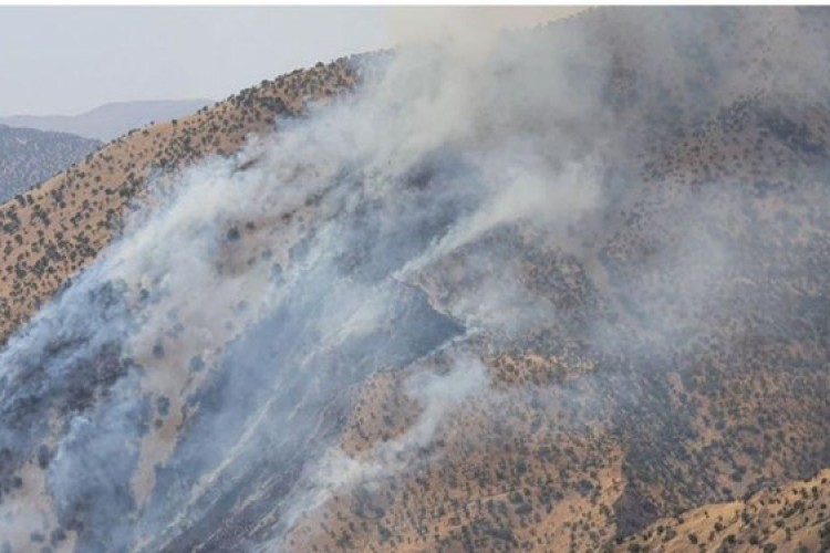 آتش‌سوزی جنگل‌های آلوده به مین و صعب‌العبور نوسود اطفا شد