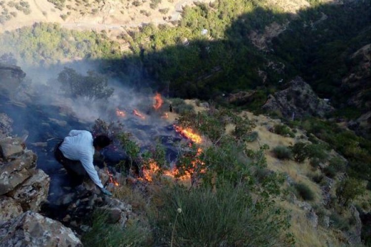 مهار آتش سوزی های مراتع روستای شرکان پاوه