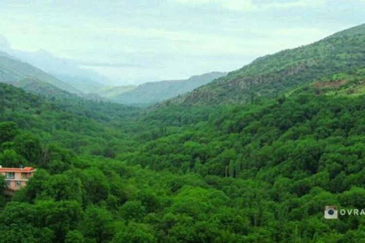 تهدید باغات پاوه توسط آب های سطحی جداول و خیابان ها در بارندگی/ مسئولین: آب تصفیه خانه سالم است