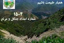 منابع طبیعی قطعا با متخلفین به عرصه های ملی برخود قانونی و مقتضی را انجام می دهد