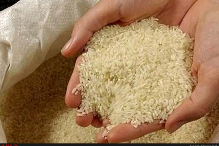 برنج هندی طرح تنظیم بازار در پاوه توزیع می شود