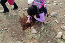 کاشت بذر بلوط توسط گروه کوهنوردی نور پاوه در زیستگاههای طبیعی پاوه