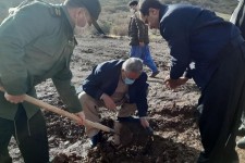 گزارش تصویری از کاشت ۱۰۰ اصله نهال درخت در پاوه