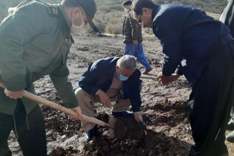 گزارش تصویری از کاشت ۱۰۰ اصله نهال درخت در پاوه