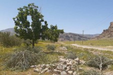 اخطار به متصرفین و متجاوزین به طبیعت در عدم  تحویل اراضی متصرفی خود به منابع طبیعی