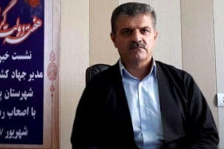 مرغداران کل مرغ تولید شده شان را باید به کشتار گاها تحویل دهند